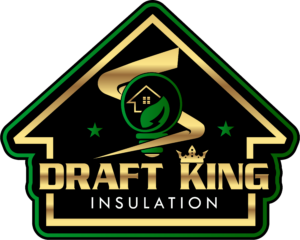 logo draft king insulation color outline black